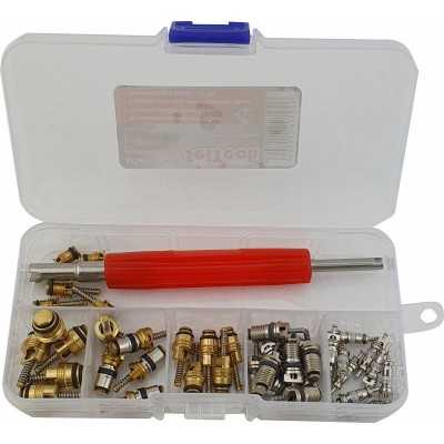 Kit con 41 válvulas climáticas
